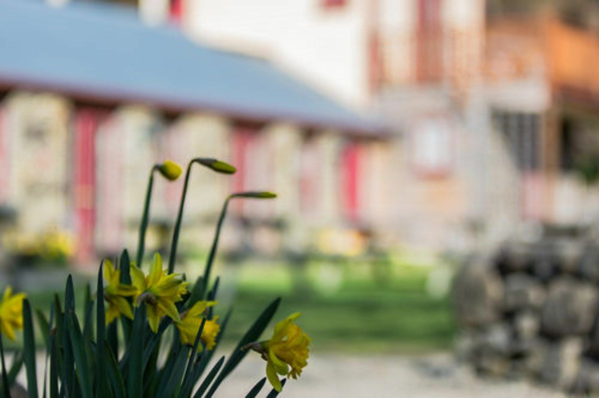 Cardrona Hotel エクステリア 写真